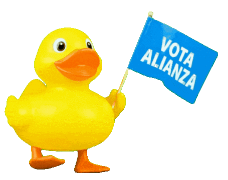 Pato Alianza